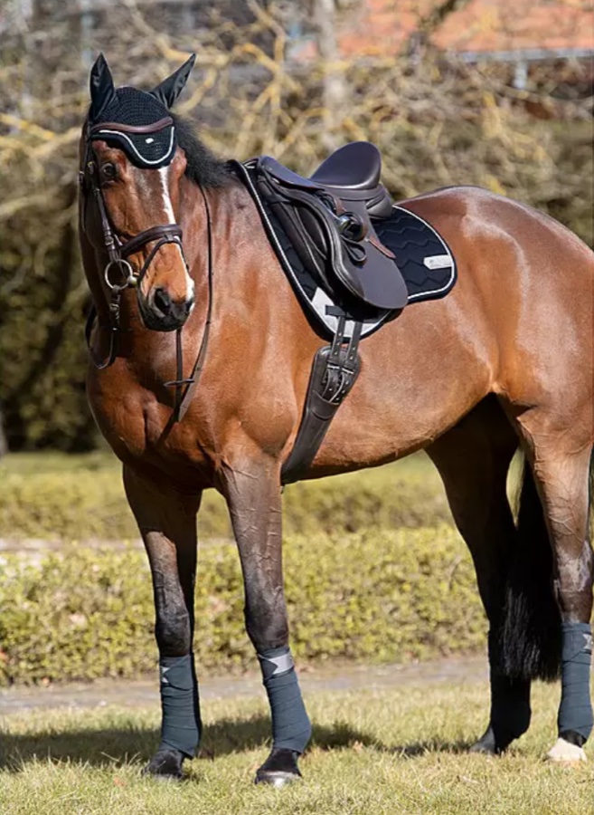 Tapis de selle Showmaster Basic Pro Kramer